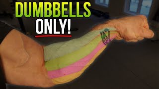 3 KILLER Forearm Exercises With ONLY Dumbbells HAVE YOU TRIED THESE [upl. by Agneta263]