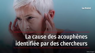 La cause des acouphènes identifiée par des chercheurs [upl. by Zehcnas387]