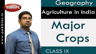 Major Crops  Agriculture in India  Social Science  APampTS Syllabus [upl. by Otxilac]