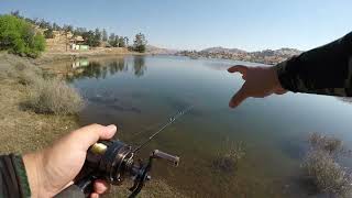 Millerton Lake Bluegill Carp and Catfish fishing [upl. by Garcon]