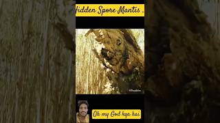 Hidden☃️ Spore Mantis🌵 sporemantis kong kongskullisland shortclip [upl. by Annayak584]