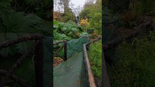 Breath taking place Dunvegan Castle Garden Isle of Skye Scotland shorts travel explore [upl. by Tobe924]