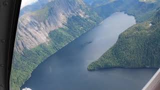 Ketchikan Bear and Flightseeing [upl. by Zuliram]