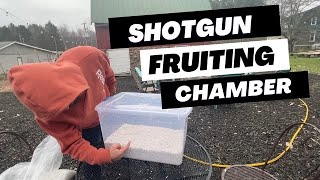 How to Make a Shotgun Fruiting Chamber for Growing Mushrooms [upl. by Jaime]