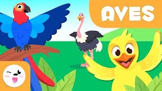 Las Aves para niños  Animales vertebrados  Ciencias naturales para niños [upl. by Foskett]