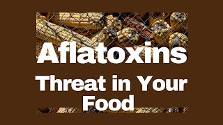 Aflatoxins The Invisible Threat in Your Food [upl. by Clerc]