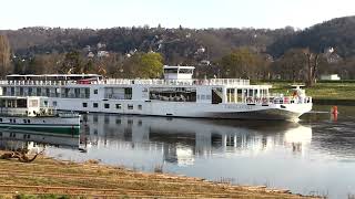 Viking Astrild 2022 in Dresden [upl. by Ritchie]