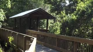 Sawgrass Lake Park Boardwalk [upl. by Schifra437]