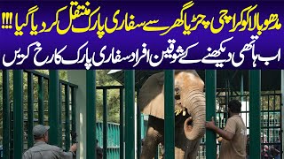 Karachi Zoos Elephant Finds New Home  Madhubala Shifted to Safari Park  Animal Lover [upl. by Bevash336]