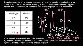 Gene Linkage and Genetic Maps [upl. by Mogerly22]