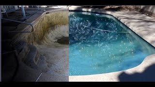 CDC Pools Remodel in Chandler Arizona 2019 4K [upl. by Caprice]