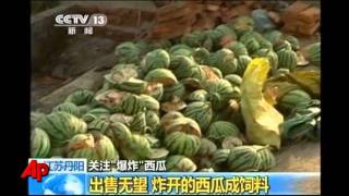 Watermelons Explode Because of Chemical [upl. by Solomon48]