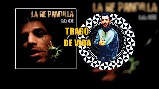 TRAGO DE VIDA│La Repandilla│Disco quotKaka Nenequot [upl. by Ssew]