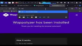 Uso de la extensión Wappalyzer [upl. by Rajiv780]