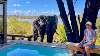 Wilderness Vumbura Plains 5star luxury in Botswanas Okavango Delta lodge tour amp safari [upl. by Paula327]