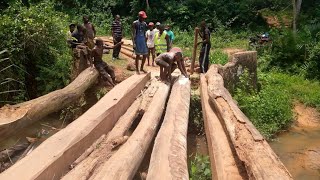 🔴 TSHELA RDC KC  INAUGURATION DU PONT NGOMAMBO [upl. by Carlton684]