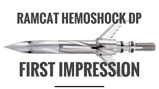 Ramcat Hemoshock First Impression [upl. by Krucik]