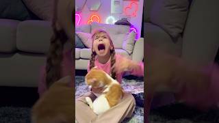 Mi gato me mordió 😭INSTAlafamiliaibañezoficial humor cosasdefamilia familiaibañez comedia [upl. by Soalokcin]