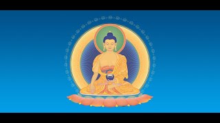 As 32 Marcas de um Buddha [upl. by Ydnih198]