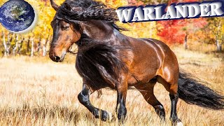 TOP Beautiful Warlander Horse in the World [upl. by Rodriguez]