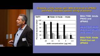 Molecular factors mediating immunity targeting PolyNAcetyl Glucosamine [upl. by Feil]