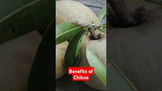 Benefits of Chikoo [upl. by Leese]