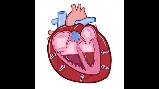 Cardiac Tamponade [upl. by Adamsun]