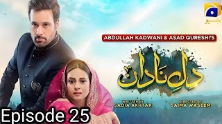 DileNadan Episode 25 Teaser Dil e Nadan Latest Epi Mikaal Zulfiqar  Amar Khan 4th Nov Review [upl. by Akimot636]