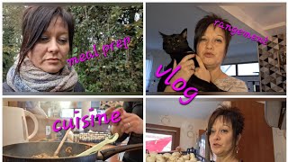 ✨️✨️✨️👉VLOG🍄CUISINE🧅MEAL PREP🧹RANGEMENT 🧺✨️✨️✨️ [upl. by Carrew]