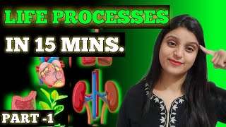 Life processes class 10  SCIENCE  Target 100 [upl. by Saphra433]