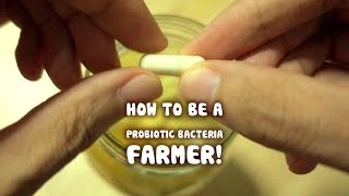 Growing your own Probiotic Bacteria fruit ferment [upl. by Slayton]