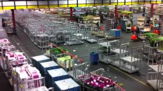 The Largest Flower Market in the World Aalsmeer Holland [upl. by Ojibbob370]