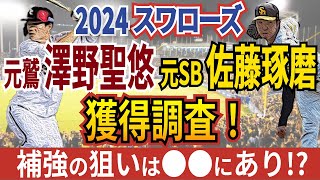 【獲得調査】ヤクルト元SB佐藤琢磨、元楽天澤野聖悠獲得へ！今オフの獲得傾向から〇〇な傾向が判明？ [upl. by Layton]