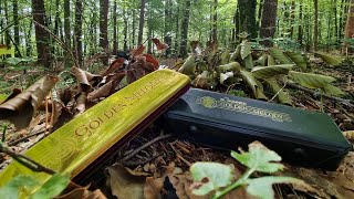 Review of Hohner Golden Melody Tremolo Harmonica [upl. by Poirer379]