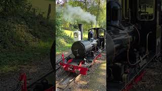 Mini Steam Train  Rudyard Lake [upl. by Corrie]