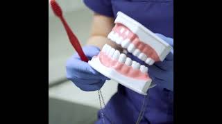 How To Brush Your Tooth Properly dentist dental allbritedentistry dentalclinic howtobrush [upl. by Oehsen]