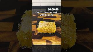 10k subs special honey comb 🍯 Cutting food until it’s paste 🔪 foodcutting satisfying [upl. by Hayse467]