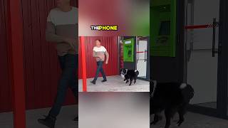 The Loyal Dog and the Stolen Phone 📱 Shorts dog [upl. by Entirb]