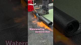 Waterproofing amp membrane sheet waterproofing waterproof waterproofingcoating membrane shorts [upl. by Andert]