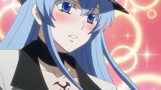 Esdeath Fell in Love With Tatsumi at First Sight [upl. by Ahsier]