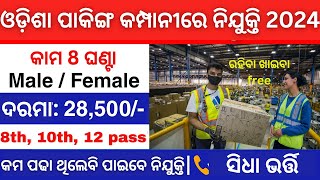 ଭୁବନେଶ୍ୱର Packing Job Vacancy 2024  Packing Job Vacancy 2024  Bhubaneswar Job Vacancy 2024 [upl. by Eerot]