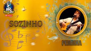 PENINHA SOZINHO KARAOKE 4 [upl. by Yawnoc]