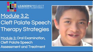 Module 32 Cleft Palate Speech and Feeding Cleft Palate Speech Therapy Strategies [upl. by Eidoc579]