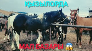 ҚЫЗЫЛОРДА МАЛ БАЗАРЫ ЖЫЛҚЫ ҚОЙ СИЫР БАҒАЛАРЫ [upl. by Rebliw]