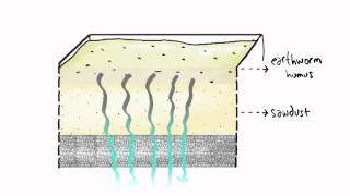 BioFiltro USA Sustainable Wastewater Treatment Technology  Description [upl. by Nairim972]