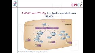 CPIC guideline for nonsteroidal antiinflammatory drugs NSAIDs and CYP2C9  no recommendations [upl. by Stultz]