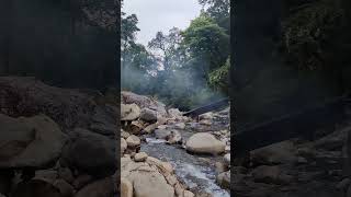 Wah kya nazare h nature junglelove wildlife rivers riverview river trending [upl. by Kosak]