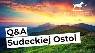 SUDECKA OSTOJA 982021 PYTANIA I ODPOWIEDZI [upl. by Qooraf]