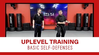 Mastering Your Basic SelfDefenses [upl. by Barabas]