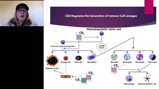 Cannabis as Immunonotherapy for 21st Century Acquired Immune Deficiencies [upl. by Chrystel]